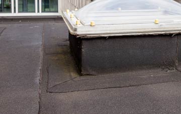 disadvantages of Cefn Einion flat roofs