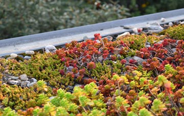 the cost of Cefn Einion green roof installation