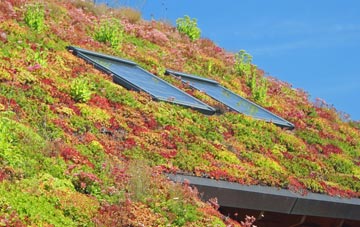 Cefn Einion living roof systems