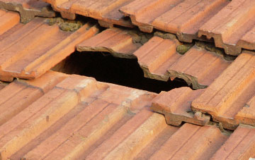 roof repair Cefn Einion, Shropshire